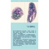 量子技术哪家好 围巾量子植入 量子围巾的价格 菱量供