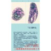 围巾丝巾植入量子 北京量子植入仓 量子产品植入公司 菱量供