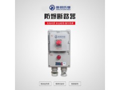 BQC53-4KW电机防爆磁力启动器 380V防爆控制器图3