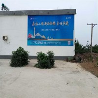 福建墙体广告,福建乡镇墙体广告,福建学校墙体广告