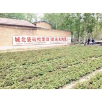 安庆手绘墙体广告涂料深植大脑的好物记忆点