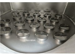 大流量精密过滤器AA1300F-C AO1300F-C图1