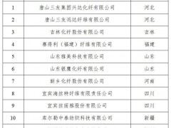 12家企业入列《粘胶纤维行业规范条件（2024版）》企业名单